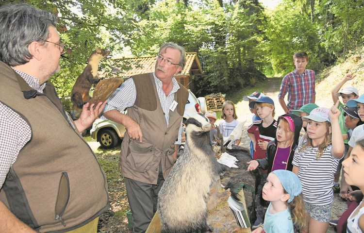 Holger Welz (vorne) und Robert Ober brachten den Kindern Wildtiere wie Baummarder und Dachs näher. Holger Welz (vorne) und Robert Ober brachten den Kindern Wildtiere wie Baummarder und Dachs näher.