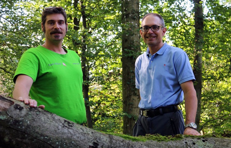 Thomas Kuhn (links, Förster des Reviers Bülach) und Stefan Rechberger (Kreisforstmeister im Kanton Zürich) haben keine Angst, dass die Buchen aus unseren Wäldern verschwinden, trotz der sehr trockenen Sommermonate. Thomas Kuhn (links, Förster des Reviers Bülach) und Stefan Rechberger (Kreisforstmeister im Kanton Zürich) haben keine Angst, dass die Buchen aus unseren Wäldern verschwinden, trotz der sehr trockenen Sommermonate.