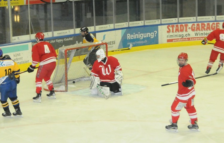 Hier jubelten die Gelben noch, doch am Ende musste sich der EHC Wilen-Neunforn im Januar 2022 dem EHC Winterthur geschlagen geben. Hier jubelten die Gelben noch, doch am Ende musste sich der EHC Wilen-Neunforn im Januar 2022 dem EHC Winterthur geschlagen geben.
