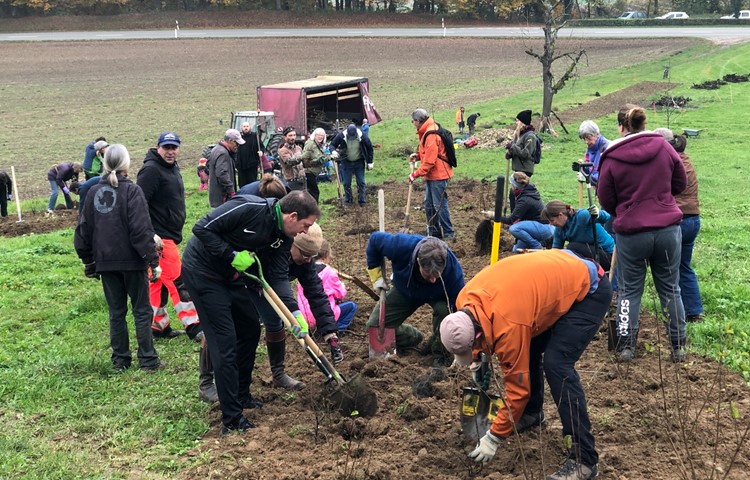 Über 50 Helferinnen und Helfer packten am Samstag auf dem Sunnehof in Uhwiesen mit an und pflanzten eine 120 Meter lange Wildhecke. Über 50 Helferinnen und Helfer packten am Samstag auf dem Sunnehof in Uhwiesen mit an und pflanzten eine 120 Meter lange Wildhecke.