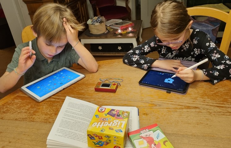 Die Zwillinge Julian und Flurina Waldmeier, beide sieben, lieben die Abwechslung zwischen verschiedenen Medien. Die Zwillinge Julian und Flurina Waldmeier, beide sieben, lieben die Abwechslung zwischen verschiedenen Medien.