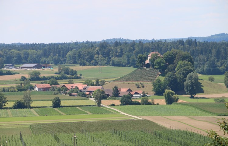 Die Kleinsiedlung Girsberg mit Schloss in Stammheim soll laut Plänen des Kantons als neue Weilerzone kategorisiert werden. Die Kleinsiedlung Girsberg mit Schloss in Stammheim soll laut Plänen des Kantons als neue Weilerzone kategorisiert werden.