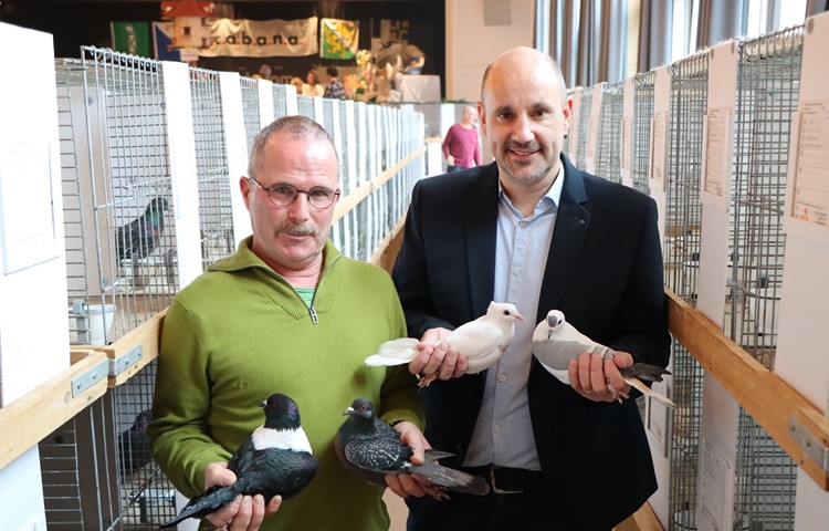V.l.: Ernst Walser hält eine Mährische Strasser und eine Kohllerche, Simon Wolf einen Thurgauer Elmer und eine Thüringische Flügeltaube. V.l.: Ernst Walser hält eine Mährische Strasser und eine Kohllerche, Simon Wolf einen Thurgauer Elmer und eine Thüringische Flügeltaube.