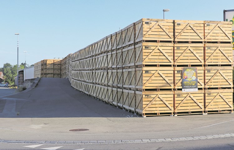 Die Paloxen-Beschaffung der Landi Weinland wirft Schatten – die Holzindustrie kritisiert das Vorgehen. Die Paloxen-Beschaffung der Landi Weinland wirft Schatten – die Holzindustrie kritisiert das Vorgehen.