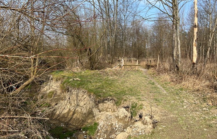 Blick in Richtung Thur: Ein paar Meter neben der Brücke frisst der Bach Land weg. Blick in Richtung Thur: Ein paar Meter neben der Brücke frisst der Bach Land weg.
