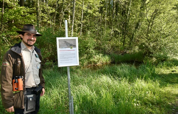 Ranger Dario Bayani stellte am Donnerstag an einem Tümpel eine Tafel auf, auf der die Gelbbauchunke vorgestellt wird. Ranger Dario Bayani stellte am Donnerstag an einem Tümpel eine Tafel auf, auf der die Gelbbauchunke vorgestellt wird.