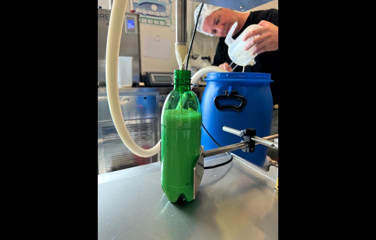 Bis zum letzten Tropfen wird abgefüllt – automatisch und nach wie vor in die grünen Halbliter PET-Flaschen, die von Hand unter den Stutzen gestellt werden.