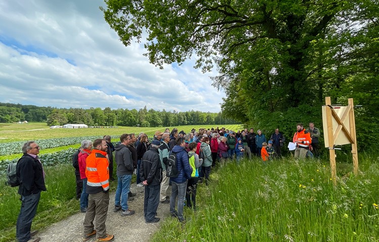 Die Gesellschaft am letzten der vier Posten. Förster Benjamin Kistner (rechts im Bild) gibt einen Überblick über die Kleinandelfinger Seenplatte. Die Gesellschaft am letzten der vier Posten. Förster Benjamin Kistner (rechts im Bild) gibt einen Überblick über die Kleinandelfinger Seenplatte.
