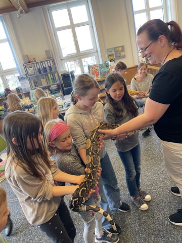 Anfassen erlaubt: Die drei Meter lange Boa constrictor «Ratscha» war zu Besuch in der Bibliothek Henggart. Anfassen erlaubt: Die drei Meter lange Boa constrictor «Ratscha» war zu Besuch in der Bibliothek Henggart.