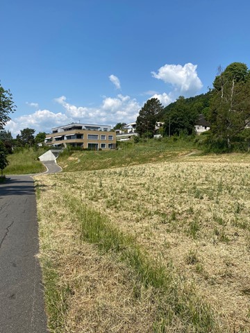 Der Mörlerweg, der als Abkürzung zwischen Wassergasse und Mörlerstrasse dient, soll verkauft werden. So bleibt vom oberen ins untere Quartier ein rund 200 Meter längerer, dafür ausgebauter Umweg entlang der Wassergasse.
