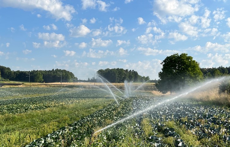 «Die Landwirtschaft haben wir im Griff», sagt Gerhard Bichsel, Brunnenmeister der Gruppenwasserversorgung Thurtal-Andelfingen. «Die Landwirtschaft haben wir im Griff», sagt Gerhard Bichsel, Brunnenmeister der Gruppenwasserversorgung Thurtal-Andelfingen.