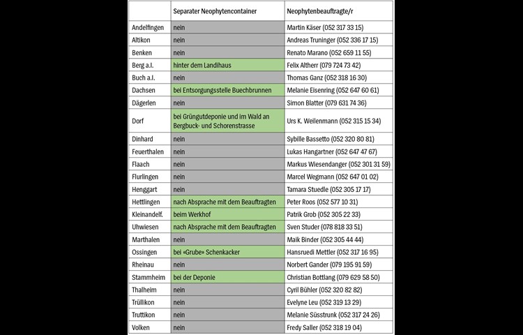 Neophytensituation und -beauftragte der Gemeinden.