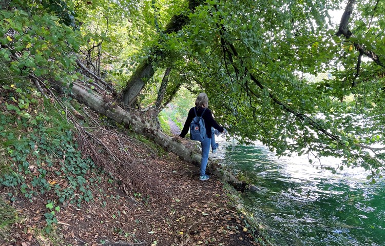 Direkt am Rhein, aber manchmal mit Hindernissen: Am rechtsufrigen Wanderweg ist der Unterhalt nicht geregelt. Direkt am Rhein, aber manchmal mit Hindernissen: Am rechtsufrigen Wanderweg ist der Unterhalt nicht geregelt.