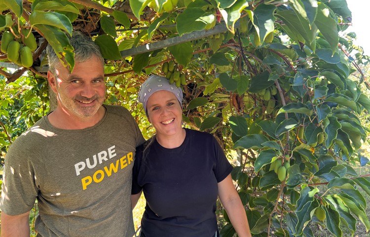 Sie glauben an die Mini-Kiwi: David und Katja Keller am Montag in ihrer Plantage. Sie pflücken erst, wenn die Früchte auch tatsächlich reif sind. Zurzeit ist es noch zu warm, Geduld ist gefragt. Sie glauben an die Mini-Kiwi: David und Katja Keller am Montag in ihrer Plantage. Sie pflücken erst, wenn die Früchte auch tatsächlich reif sind. Zurzeit ist es noch zu warm, Geduld ist gefragt.
