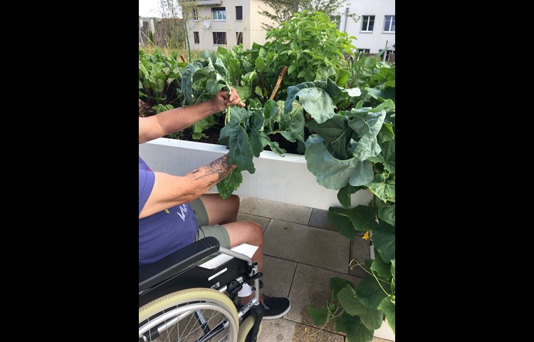 Das Hochbeet ist so angelegt, dass es auch von Menschen im Rollstuhl oder von solchen mit einer Gehhilfe genutzt werden kann.