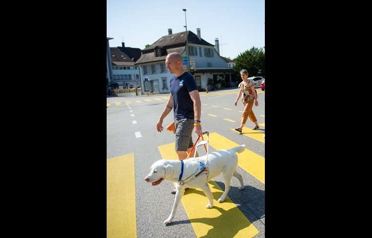 Cody in der Ausbildung bei seinem Instruktor François. Wenn er das «Blindenhund»-Geschirr trägt, weiss er, dass gearbeitet wird.