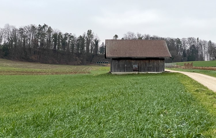 Das Volkemer Schützenhaus bleibt, wie es ist. Ein gemeinsamer, grösserer Schiessstand mit Dorf und Flaach ist vorerst vom Tisch. Das Volkemer Schützenhaus bleibt, wie es ist. Ein gemeinsamer, grösserer Schiessstand mit Dorf und Flaach ist vorerst vom Tisch.