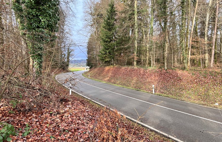 In der Innenkurve der Schaffhauserstrasse werden die Röhren der Verbindungsleitung verlegt. In der Innenkurve der Schaffhauserstrasse werden die Röhren der Verbindungsleitung verlegt.
