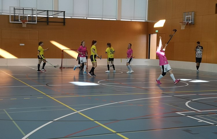 Die Wild-Pigs-Damen (pink) freuen sich über eine geglückte Premierensaison in der 2. Liga Kleinfeld. Die Wild-Pigs-Damen (pink) freuen sich über eine geglückte Premierensaison in der 2. Liga Kleinfeld.