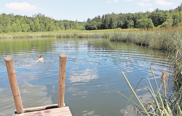 Der Barchetsee ist ein beliebter Ort im Sommer und bekannt für seine schwimmenden Inseln. Der Barchetsee ist ein beliebter Ort im Sommer und bekannt für seine schwimmenden Inseln.