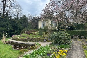 Frühlingsbildstory vom Schlosspark Andelfingen Frühlingsbildstory vom Schlosspark Andelfingen