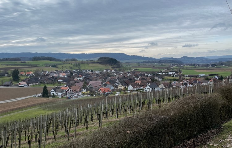 862 Orte tragen den Namensteil -dorf, aber nur eines in der Deutschschweiz heisst auch so: Dorf im Flaachtal. 862 Orte tragen den Namensteil -dorf, aber nur eines in der Deutschschweiz heisst auch so: Dorf im Flaachtal.