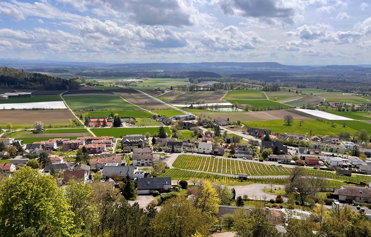 Für das Hofackergebiet (grüne Fläche zwischen Tennisplatz und Quartier) gilt künftig eine Pflicht zur Ausarbeitung eines Gestaltungsplans. Der Gemeinderat möchte dort unter anderem ein differenziertes Wohnangebot schaffen, mit Raum für Fussgänger und Velofahrerinnen. Zudem sollen die Erdgeschosse publikumsorientierte Angebote umfassen. Für das Hofackergebiet (grüne Fläche zwischen Tennisplatz und Quartier) gilt künftig eine Pflicht zur Ausarbeitung eines Gestaltungsplans. Der Gemeinderat möchte dort unter anderem ein differenziertes Wohnangebot schaffen, mit Raum für Fussgänger und Velofahrerinnen. Zudem sollen die Erdgeschosse publikumsorientierte Angebote umfassen.