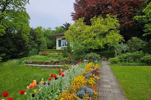 Frühlingsbildstory vom Schlosspark Andelfingen Frühlingsbildstory vom Schlosspark Andelfingen