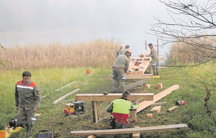 Angeleitet von den Gemeindewerkmitarbeitern ersetzen die Zivilschutz-Dienstpflichtigen den morschen Badesteg am Südufer des Husemersees. Angeleitet von den Gemeindewerkmitarbeitern ersetzen die Zivilschutz-Dienstpflichtigen den morschen Badesteg am Südufer des Husemersees.