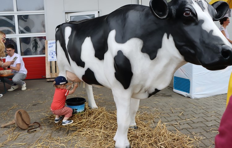 Wer sich allen Attraktionen mit solcher Hingabe widmete wie dieser Bub, brauchte vermutlich beide Ausstellungstage. Wer sich allen Attraktionen mit solcher Hingabe widmete wie dieser Bub, brauchte vermutlich beide Ausstellungstage.
