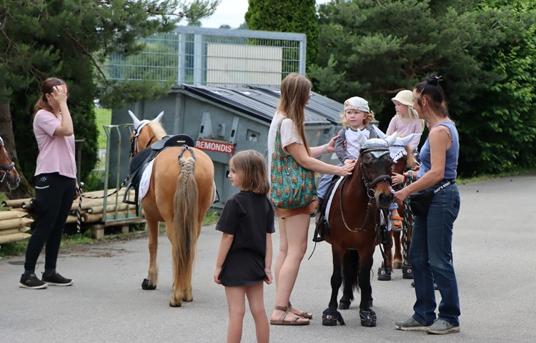 Die Ponys mit den Junglenkern wurden nicht vom Halfter gelassen. Die Ponys mit den Junglenkern wurden nicht vom Halfter gelassen.