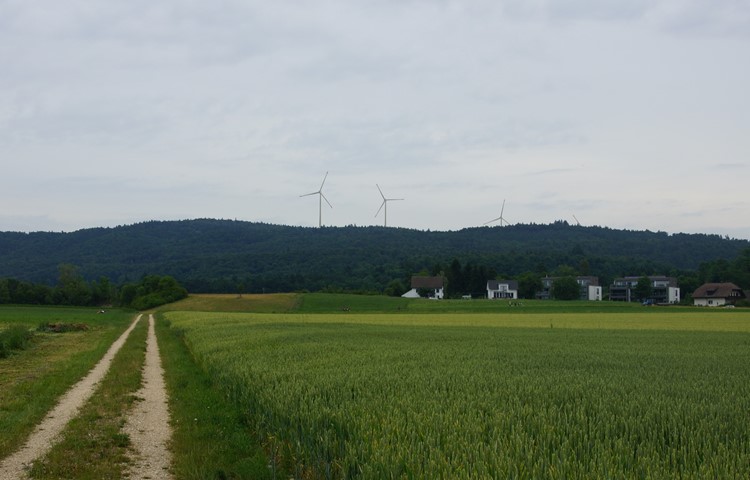 Die vier rund 200 Meter hohen Windanlagen von Hemishofen aus gesehen. Die nächste Ortschaft Riedern ist etwa einen Kilometer entfernt, die Distanz zu verschiedenen Höfen beträgt 450 bis 500 Meter. Die vier rund 200 Meter hohen Windanlagen von Hemishofen aus gesehen. Die nächste Ortschaft Riedern ist etwa einen Kilometer entfernt, die Distanz zu verschiedenen Höfen beträgt 450 bis 500 Meter.