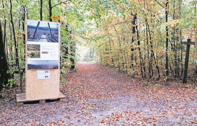 So zeigt sich der Burghügel aktuell … So zeigt sich der Burghügel aktuell …