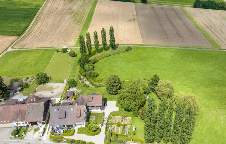 Was auf der Hauswiese begonnen wurde, soll über das angrenzende Feld fortgesetzt werden: Der Mosbach soll wieder offen fliessen, bis zur Mündung in den Huebbach, etwa auf der Höhe des allein stehenden Baums. Dieser Abschnitt des Huebbachs wird auf der Gewässer-Ökomorphologie-Karte als «stark beeinträchtigt» bis «künstlich, naturfremd» kategorisiert. Was auf der Hauswiese begonnen wurde, soll über das angrenzende Feld fortgesetzt werden: Der Mosbach soll wieder offen fliessen, bis zur Mündung in den Huebbach, etwa auf der Höhe des allein stehenden Baums. Dieser Abschnitt des Huebbachs wird auf der Gewässer-Ökomorphologie-Karte als «stark beeinträchtigt» bis «künstlich, naturfremd» kategorisiert.