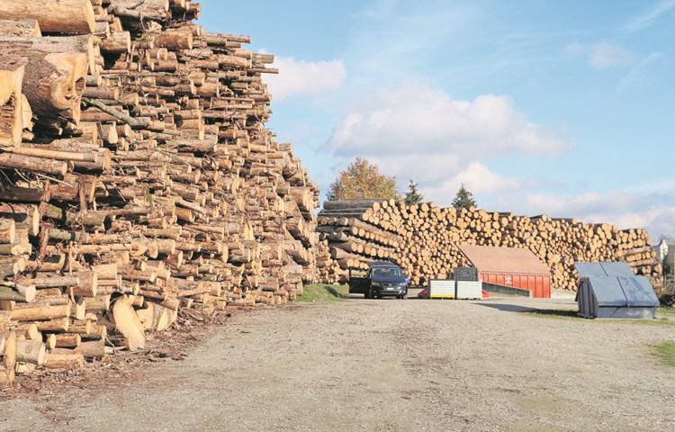 Mehrere Holznotlager wie dieses in Ossingen prägen zurzeit das Landschaftsbild. Von Schädlingen befallene Fichten müssen mindestens 500 Meter abseits des Waldes gelagert werden, damit die Insekten die Distanz zu gesunden Bäumen im Flug nicht überwinden können. Mehrere Holznotlager wie dieses in Ossingen prägen zurzeit das Landschaftsbild. Von Schädlingen befallene Fichten müssen mindestens 500 Meter abseits des Waldes gelagert werden, damit die Insekten die Distanz zu gesunden Bäumen im Flug nicht überwinden können.
