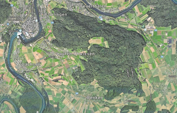 Noch ist der Cholfirst, auch Kohlfirst, auf Zürcher Gebiet auf zwei Forstreviere aufgeteilt. Noch ist der Cholfirst, auch Kohlfirst, auf Zürcher Gebiet auf zwei Forstreviere aufgeteilt.