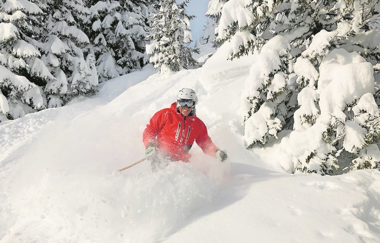 Im winterlichen Pulverschnee fühlt sich der Skiclub Dachsen seit 75 Jahren wohl. Im winterlichen Pulverschnee fühlt sich der Skiclub Dachsen seit 75 Jahren wohl.