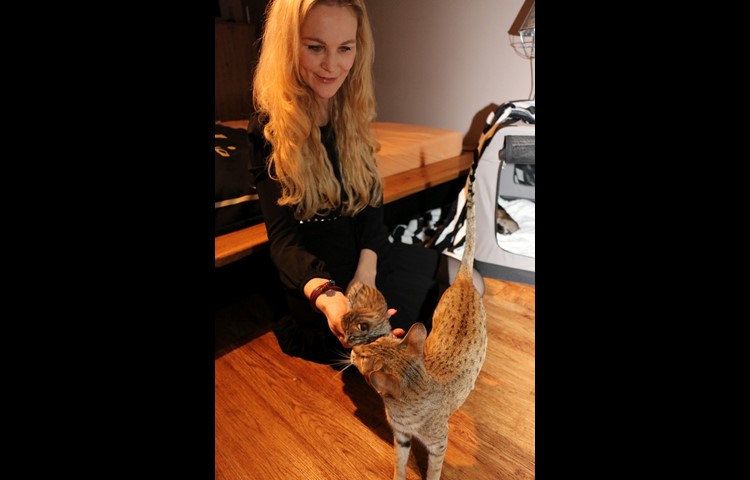 Sunny hat am 13. Januar fünf Junge geboren. Bei Corina Müller haben die Katze und ihr Nachwuchs einen Raum für sich, um ungestört zu sein.
