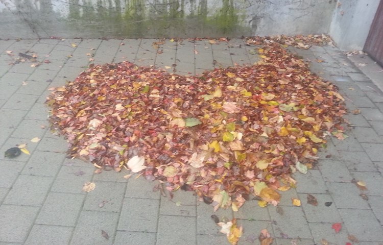 Als ich 2013 von der Arbeit kam, sah ich, dass mir der Wind diese Herzensnachricht vor der Garage hinterlassen hat. Als ich 2013 von der Arbeit kam, sah ich, dass mir der Wind diese Herzensnachricht vor der Garage hinterlassen hat.