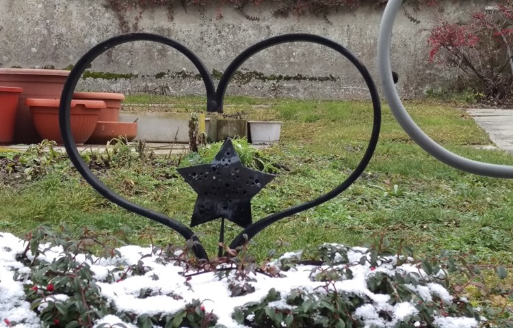 Zwei zusammengeschweisste Eggen-Federzinken in meinem Garten. Es handelt sich um Teile unserer früheren Import-Landgeräte. Zwei zusammengeschweisste Eggen-Federzinken in meinem Garten. Es handelt sich um Teile unserer früheren Import-Landgeräte.