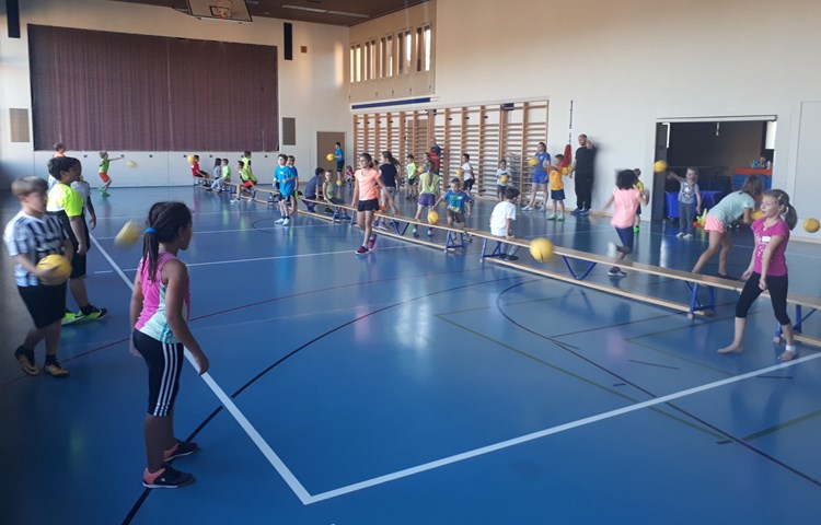 Die Faustballriegen aus der Region besuchten die Schulen, um die Kinder an den Sport heranzuführen. Die Faustballriegen aus der Region besuchten die Schulen, um die Kinder an den Sport heranzuführen.