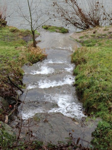 Der Wildbach-Mühlebach unterquert bei der «Andelfinger Zeitung» die Landstrasse und ergiesst sich in die Thur. Der Wildbach-Mühlebach unterquert bei der «Andelfinger Zeitung» die Landstrasse und ergiesst sich in die Thur.