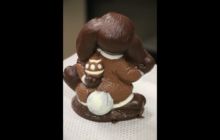 Der Hasenbubi macht auch von hinten eine gute Figur.