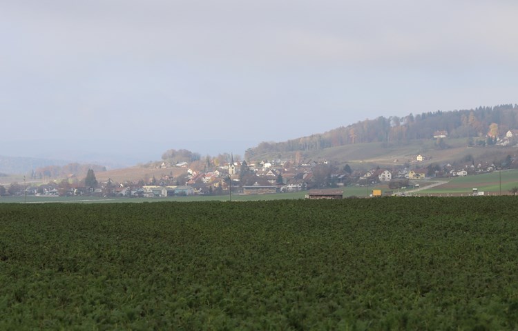 Die Einwohner von Benken möchten, dass ihre Gemeinde eigenständig bleibt, fänden eine regionale Zusammenarbeit aber begrüssenswert. Die Einwohner von Benken möchten, dass ihre Gemeinde eigenständig bleibt, fänden eine regionale Zusammenarbeit aber begrüssenswert.