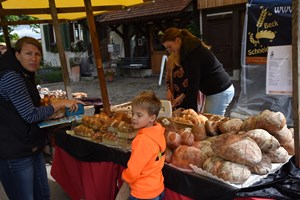 (Stürmischer) Frühlingsmarkt in Flaach (Stürmischer) Frühlingsmarkt in Flaach