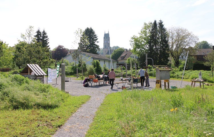 Der Naturschutzverein Andelfingen und Jugendliche aus dem 10. Schuljahr in Winterthur bringen noch mehr Natur auf den Begegnungsplatz Andelfingen. Der Naturschutzverein Andelfingen und Jugendliche aus dem 10. Schuljahr in Winterthur bringen noch mehr Natur auf den Begegnungsplatz Andelfingen.