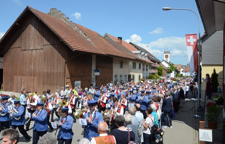 Die vereinten Rheinauer Musikanten bildeten den krönenden Abschluss der Marschmusikparade. Die vereinten Rheinauer Musikanten bildeten den krönenden Abschluss der Marschmusikparade.