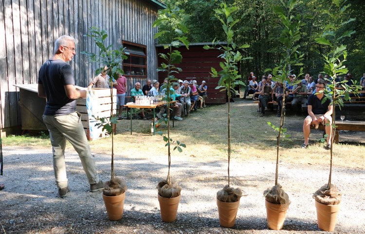 Geschäftsführer Felix Keller überbrachte im Namen von Wald Zürich fünf junge Traubeneichen. Geschäftsführer Felix Keller überbrachte im Namen von Wald Zürich fünf junge Traubeneichen.