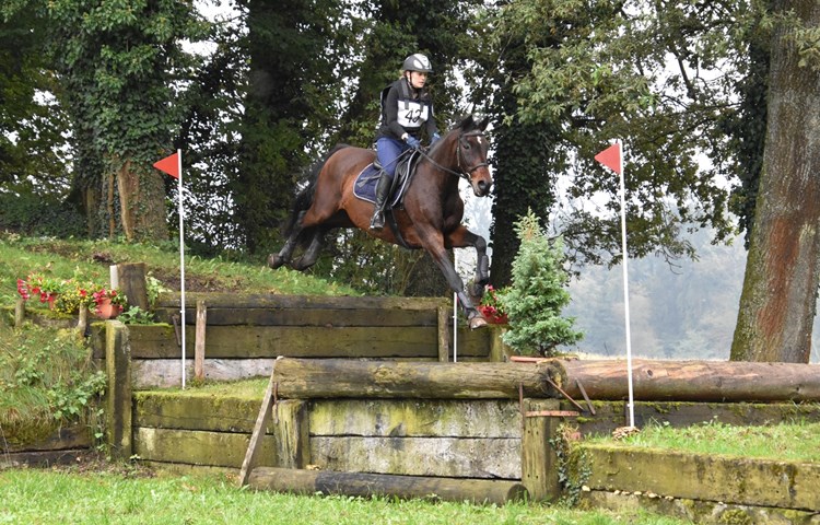 Die Reiter führten ihre Pferde über feste Hindernisse und durchs Gelände. Die Reiter führten ihre Pferde über feste Hindernisse und durchs Gelände.