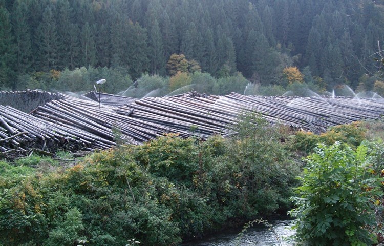 Nasslager neben einem Fluss in Mitteldeutschland. Nasslager neben einem Fluss in Mitteldeutschland.